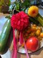 2501 149th Street - Photo 36