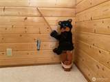 50 Doll Drive - Photo 16