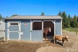 6937 Lake Alice Road - Photo 36