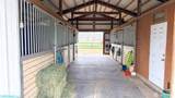 150 Dusty Puddle Road - Photo 37