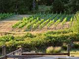 11700 279th Street - Photo 22