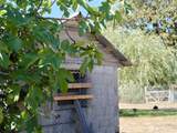 11700 279th Street - Photo 26