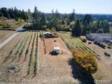 11700 279th Street - Photo 31