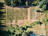 11700 279th Street - Photo 35