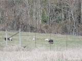 150 Elk Ridge Road - Photo 12
