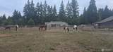 8106 Spurgeon Creek Road - Photo 25