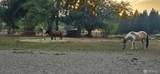 8106 Spurgeon Creek Road - Photo 29