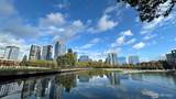 10101 3rd Street - Photo 27