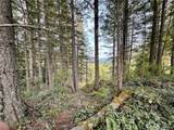 50113 146th Avenue - Photo 9