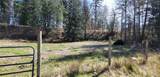 50 Alder Place - Photo 3