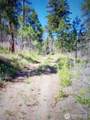 111 TBD J H Green Rd - Photo 14