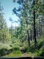 111 TBD J H Green Rd - Photo 3