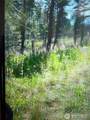 111 TBD J H Green Rd - Photo 4