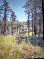 111 TBD J H Green Rd - Photo 7