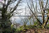 0 Totten Shores Drive - Photo 6
