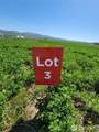 1612 Katen Road - Photo 5