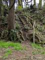 1319 Winlock Vader Road - Photo 16