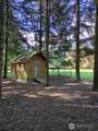 1319 Winlock Vader Road - Photo 22