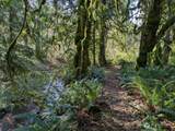 1319 Winlock Vader Road - Photo 31