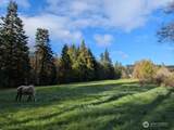 1319 Winlock Vader Road - Photo 36