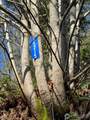 15215 320th Street - Photo 4