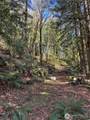15215 320th Street - Photo 6