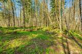0 Buncombe Hollow Road - Photo 1
