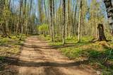 0 Buncombe Hollow Road - Photo 11