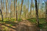 0 Buncombe Hollow Road - Photo 12