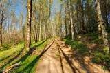 0 Buncombe Hollow Road - Photo 13