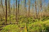 0 Buncombe Hollow Road - Photo 3