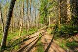 0 Buncombe Hollow Road - Photo 5