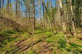 0 Buncombe Hollow Road - Photo 8