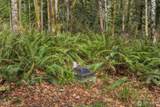 435 Sword Fern Lane - Photo 11