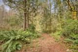 435 Sword Fern Lane - Photo 14