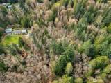 435 Sword Fern Lane - Photo 19