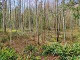 435 Sword Fern Lane - Photo 21