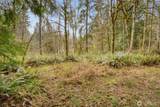 435 Sword Fern Lane - Photo 22