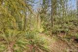 435 Sword Fern Lane - Photo 23