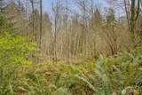 435 Sword Fern Lane - Photo 24