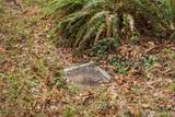 435 Sword Fern Lane - Photo 9