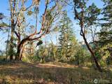 0 Rocky Brook Road - Photo 3