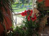 710 Adobe Way - Photo 5
