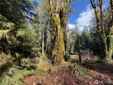 0 High Ridge Drive - Photo 3
