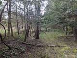 0 Critter Country Trail - Photo 5