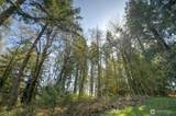 7640 Holiday Valley Drive - Photo 12