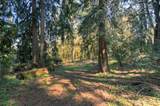 7640 Holiday Valley Drive - Photo 9