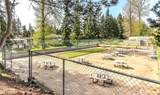 2500 370th Street - Photo 38