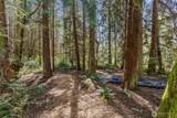 37060 Madrona Boulevard - Photo 6