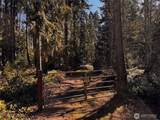 0 O'brien Lot 1 Road - Photo 22